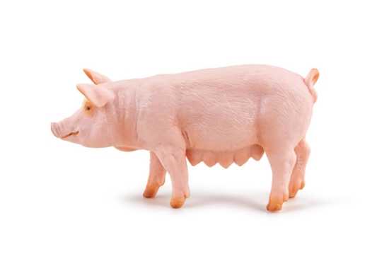 Imagine PAPO FIGURINA SCROAFA