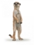 Imagine PAPO FIGURINA SURICATA