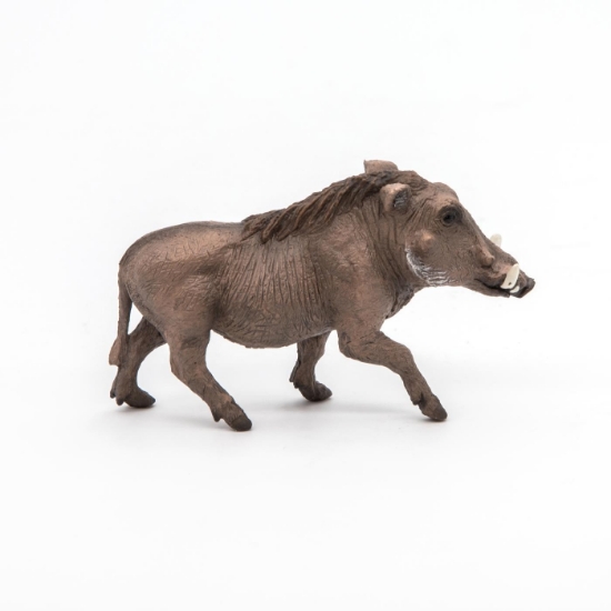 Imagine PAPO FIGURINA FACOCHOER