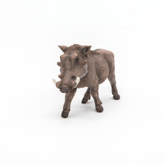 Imagine PAPO FIGURINA FACOCHOER