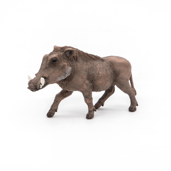 Imagine PAPO FIGURINA FACOCHOER