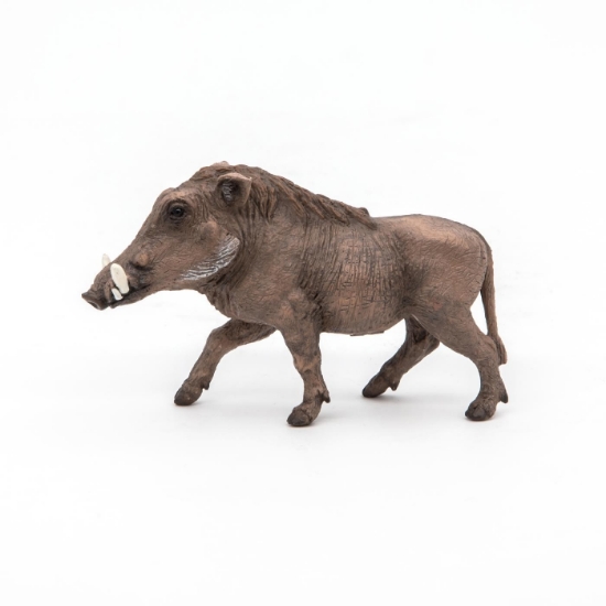 Imagine PAPO FIGURINA FACOCHOER