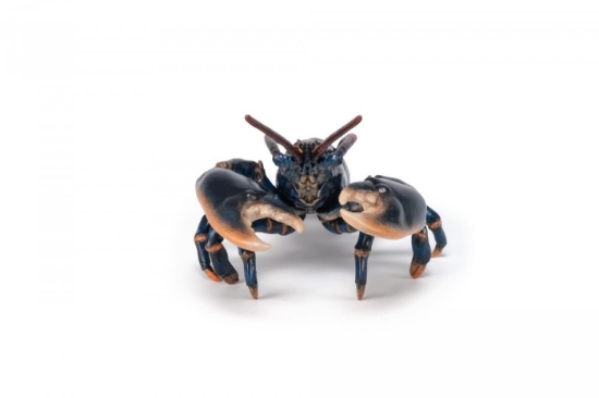 Imagine PAPO FIGURINA HOMAR