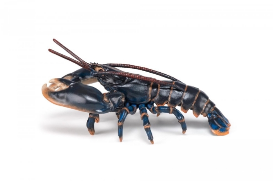 Imagine PAPO FIGURINA HOMAR