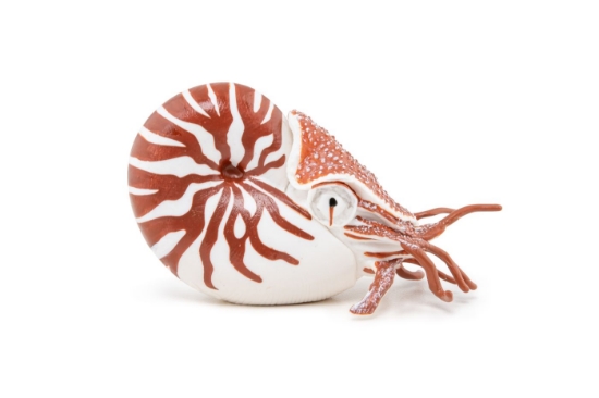 Imagine PAPO FIGURINA NAUTILUS
