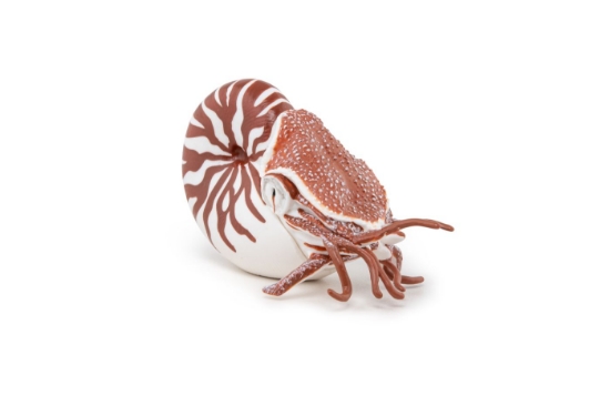 Imagine PAPO FIGURINA NAUTILUS