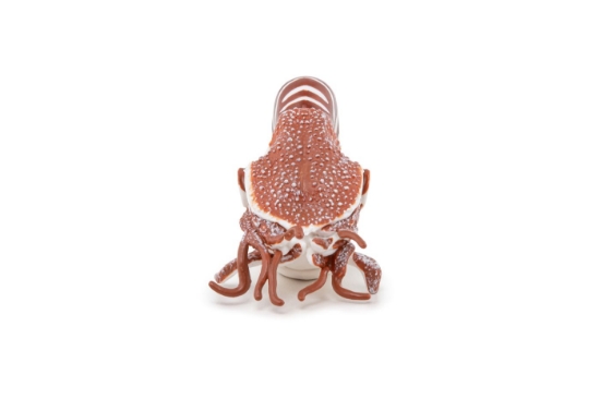 Imagine PAPO FIGURINA NAUTILUS