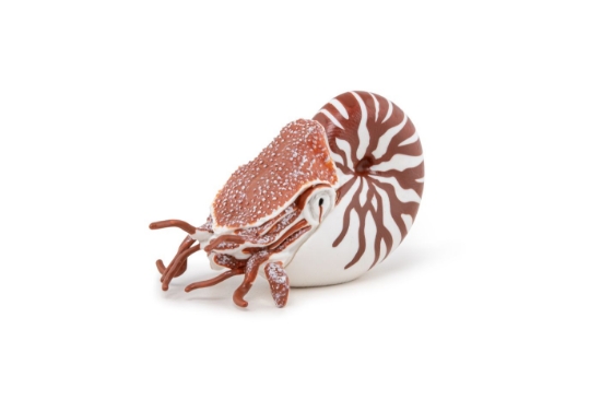 Imagine PAPO FIGURINA NAUTILUS