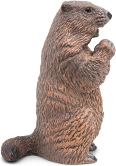 Imagine PAPO FIGURINA CASTOR