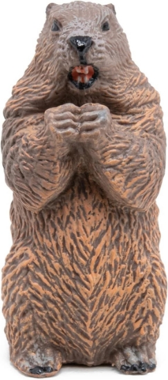 Imagine PAPO FIGURINA CASTOR