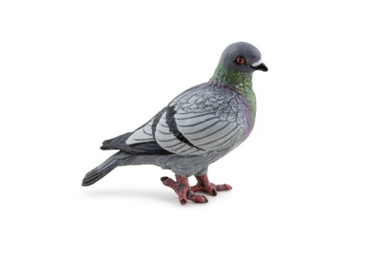 Imagine PAPO FIGURINA PORUMBEL