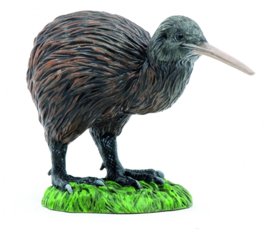 Imagine PAPO FIGURINA KIWI