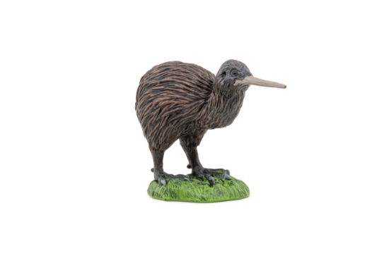 Imagine PAPO FIGURINA KIWI