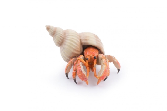 Imagine PAPO FIGURINA CRAB PUSTNIC