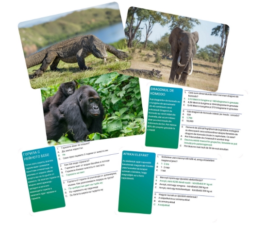 Imagine Joc interactiv lumea animalelor în limba română