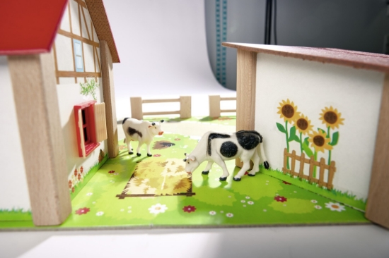 Imagine EICHHORN FERMA CU ACCESORII