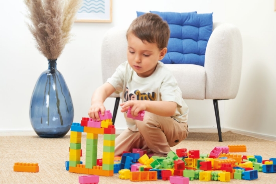 Imagine Ecoiffier Abrick Set de construit multicolor 50 piese