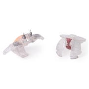 Imagine BAKUGAN PACHET DE BAZA TITANIUM BRUISER