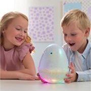 Imagine HATCHIMALS ALIVE MISTERY HATCH OU DRAGGLE