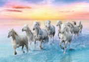 Imagine PUZZLE TREFL 500 CAI ALBI GALOPAND