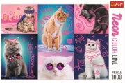 Imagine PUZZLE TREFL 1000 SUPER PISICI NEON