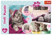 Imagine PUZZLE TREFL 160 PISICI DRAGALASE