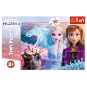 Imagine PUZZLE TREFL 30 FROZEN2 CURAJOASELE SURORI