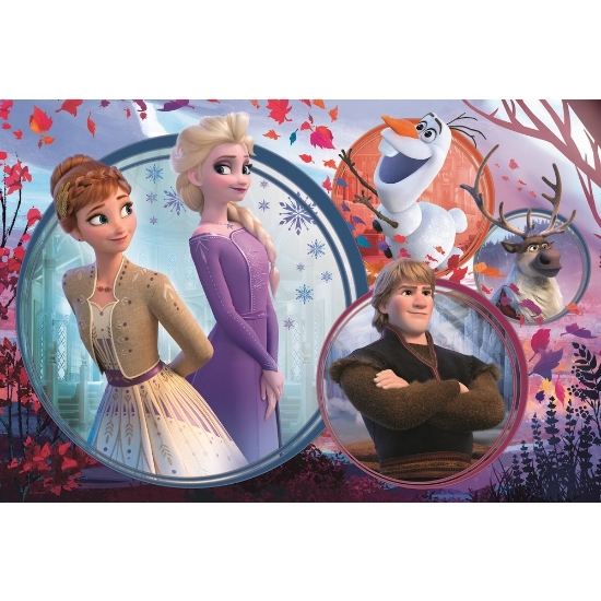 Imagine  Puzzle Trefl 160 Universul Frozen2