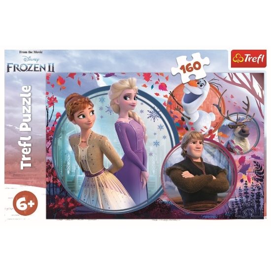 Imagine  Puzzle Trefl 160 Universul Frozen2