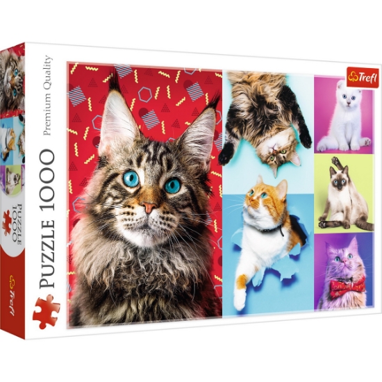 Imagine PUZZLE TREFL 1000 PISICUTE FERICITE