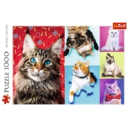 Imagine PUZZLE TREFL 1000 PISICUTE FERICITE