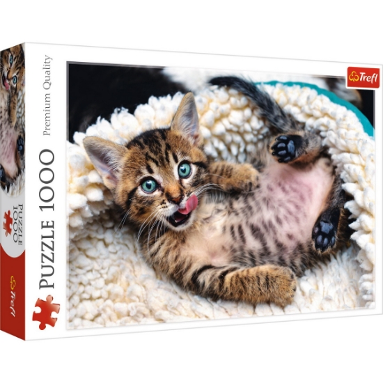 Imagine PUZZLE TREFL 1000 PISICUTA VESELA