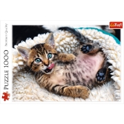 Imagine PUZZLE TREFL 1000 PISICUTA VESELA