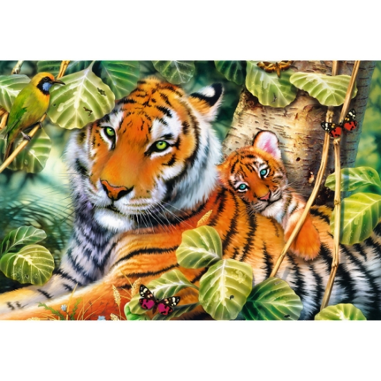Imagine Puzzle Trefl 1500 Tigri bengalezi în pădurea tropicală