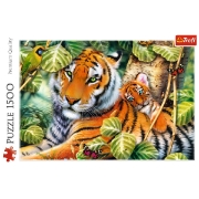 Imagine PUZZLE TREFL 1500 TIGRI BENGALEZI IN PADUREA TROPICALA