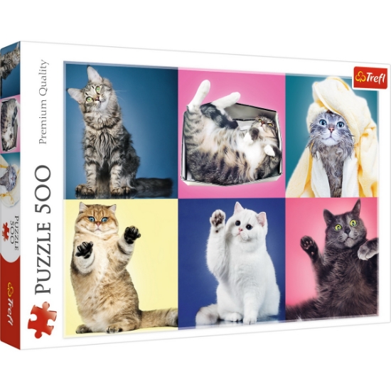 Imagine PUZZLE TREFL 500 PISICUTE