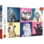 Imagine Puzzle Trefl 500 Pisicuțe