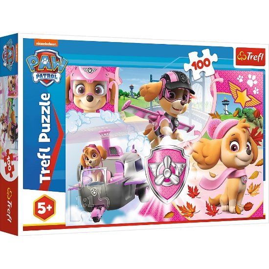 Imagine PUZZLE TREFL 100 SKYE IN ACTIUNE