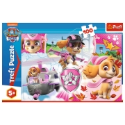 Imagine PUZZLE TREFL 100 SKYE IN ACTIUNE