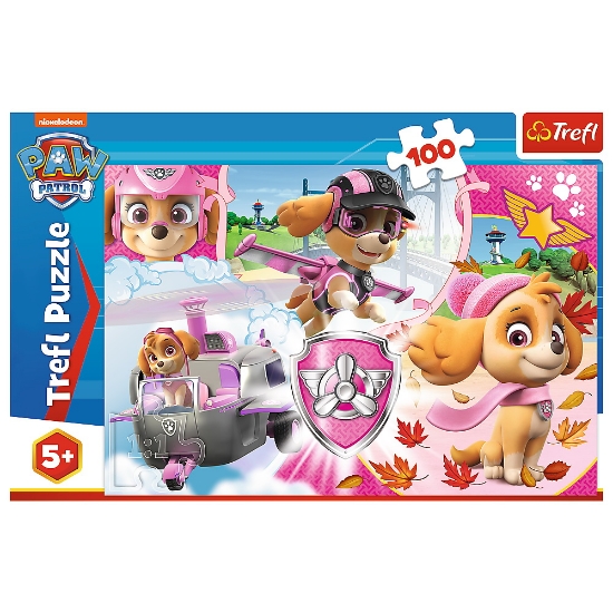 Imagine Puzzle Trefl 100 Skye în acțiune