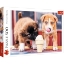 Imagine Puzzle Trefl 500 Este timpul pentru o înghețată