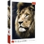 Imagine Puzzle Trefl 1500 Leu Portret