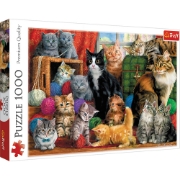 Imagine  PUZZLE TREFL 1000 INTALNIREA PISICUTELOR