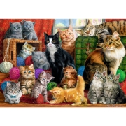 Imagine  PUZZLE TREFL 1000 INTALNIREA PISICUTELOR