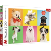 Imagine PUZZLE TREFL 500 CATELUSI