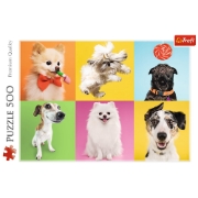 Imagine PUZZLE TREFL 500 CATELUSI