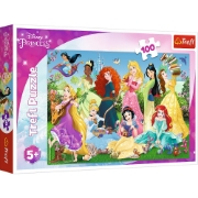 Imagine PUZZLE 100 PRINTESELE SARMANTE
