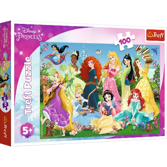 Imagine PUZZLE 100 PRINTESELE SARMANTE