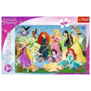 Imagine PUZZLE 100 PRINTESELE SARMANTE