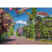 Imagine PUZZLE 2000 MERANO ITALIA